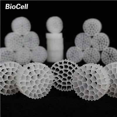 মুভিং বেড বায়োফিল্ম মিডিয়া